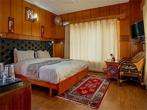 Leh Ladakh Hotels
